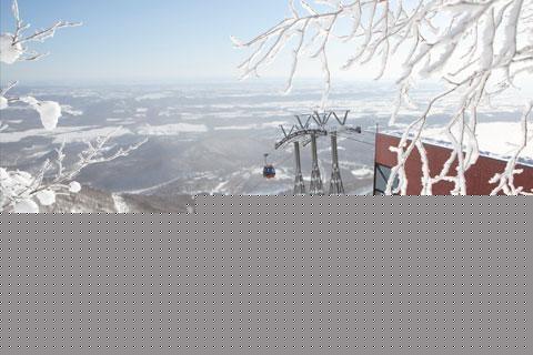 ClubMed日本北海道佐幌度假村5天4晚