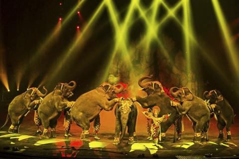 第三届中国国际马戏节、圆明新园一天