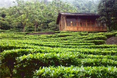 【跨省游】贺州黄姚古镇、姑婆山大巴二天