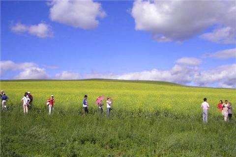 【贵宾南线呼伦贝尔】呼伦贝尔大草原阿尔山满洲里哈尔滨6天