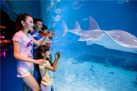 【乐园】珠海长隆海洋王国一天