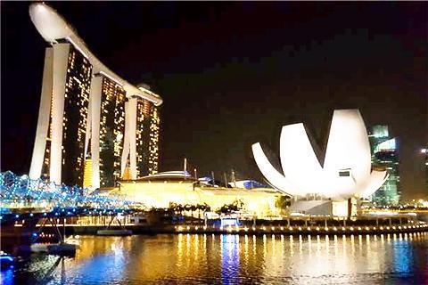 【自由行】新加坡5天＊新加坡航空往返机票 1晚市区高级酒店住宿|跟团游