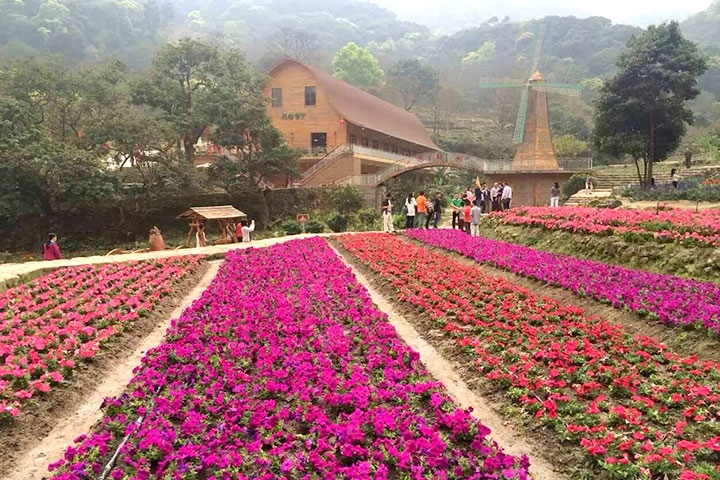 增城二龙山旅游景区-广州广之旅官方网站_好评