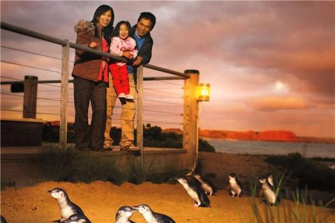 【当地玩乐】澳洲墨尔本企鹅岛半日游|跟团游
