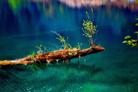 四川-重庆-九寨沟6日游路线-【重九三飞】四川