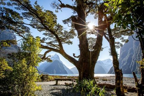【当地玩乐】 新西兰米佛峡湾风景观光巡游一日游|跟团游
