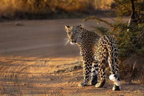 南非『花园大道』深度10天