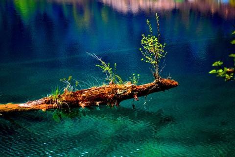 四川成都九寨沟二次进沟双飞5天