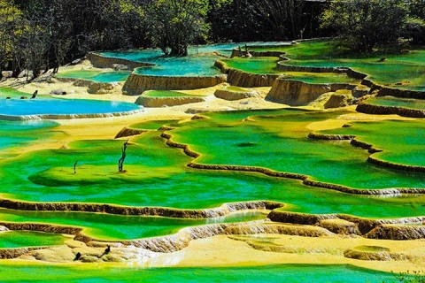 成都九寨沟双飞5天