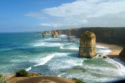 东南澳（羊驼农场醇香美酒大洋路）8天